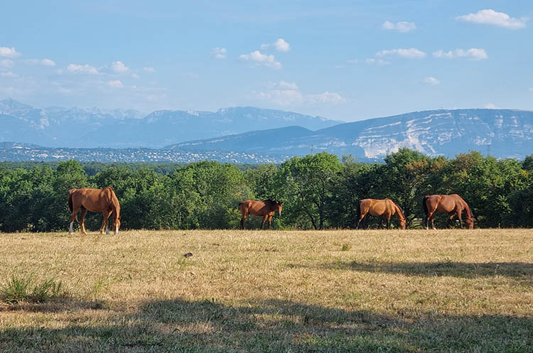 Photos de l'environnement