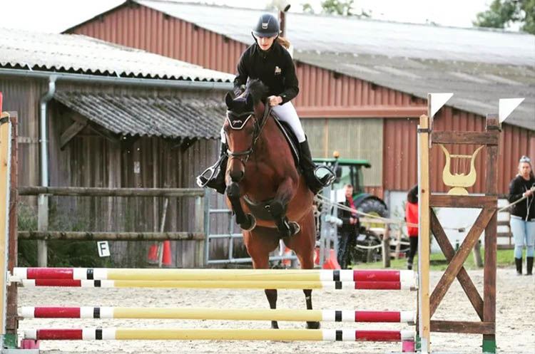 Ecole d'équitation à Grilly dans l'Ain