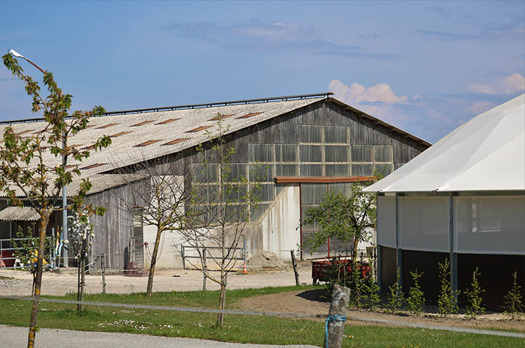 Pension pour chevaux Pays de Gex