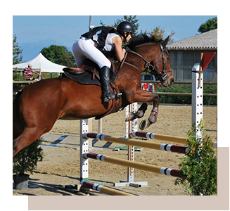 Stages d'équitation