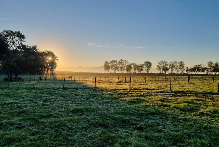 Pension pour chevaux Pays de Gex